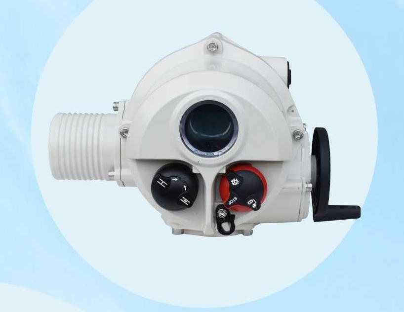 電動執(zhí)行器角行程LMT系列